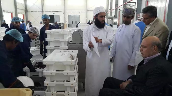 ایران و عمان در توسعه کارخانجات کنسرو ماهی همکاری می کنند