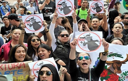 پلیس کلمبیا با مخالفان گاوبازی درگیر شد