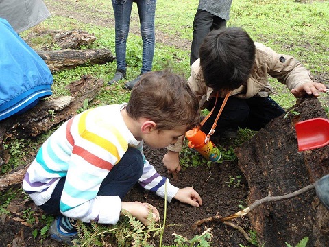 مدرسه ای که به کودکان مهربانی با طبیعت می آموزد