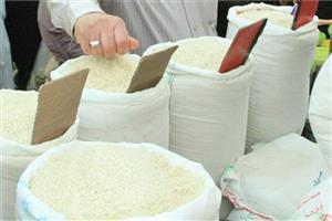 دستور جدید حجتی برای بازار برنج