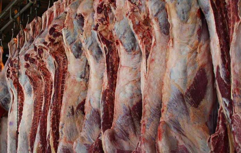 توزیع روزانه 30 تن گوشت گرم گوسفندی در 400 نقطه تهران