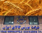 ۵۰ هزار تن گندم و جو در قالب طرح قیمت تضمینی