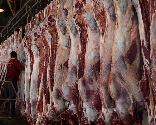دپو دام برای عید قربان عامل اصلی گرانی گوشت