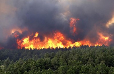 ادامه آتش سوزی جنگلهای کوه خامی با گذشت 6 روز