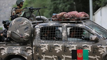 کشته شدن 77 شبه نظامی در مناطق مختلف افغانستان
