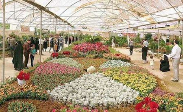 پایانه صادراتی گل و گیاه در تهران توسعه می یابد
