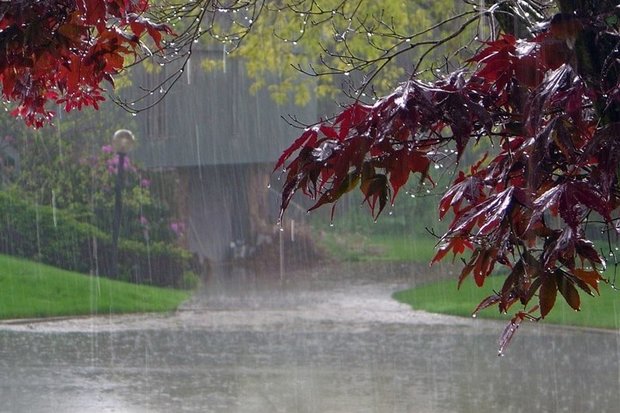 بیانیه وزارت نیرو درباره بارش‌های پاییز و اهمیت مدیریت مصرف آب در کشور