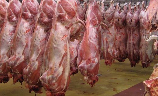 ۷۵۰۰ تن گوشت تنظیم بازاری در اختیار استان‌ها قرار گرفت