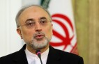 هر زمان نظام تصمیم بگیرد مانند یک ارتش آماده حرکت هستیم