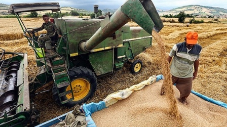 دریافت ۵ میلیون و ۸۰۰ هزار تن گندم از کشاورزان