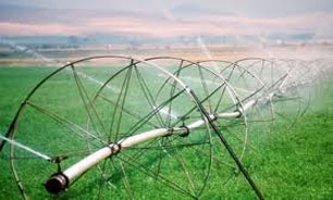 کاهش 32 درصدی مصارف آب کشاورزی در حوضه آبریز دریاچه ارومیه