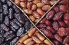 عرضه خرما در بورس کالا دست دلالان را کوتاه میکند