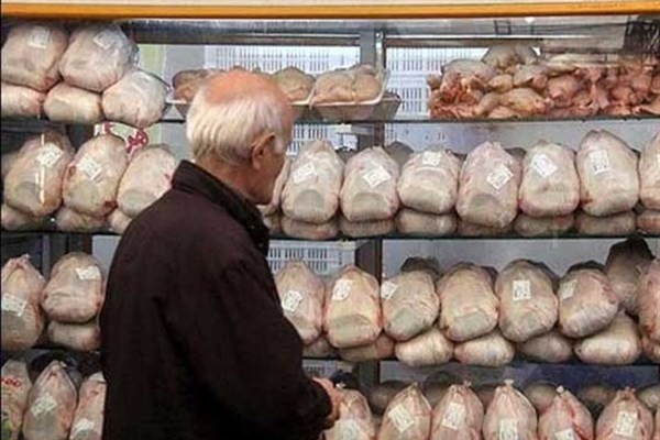عرضه مرغ تنظیم بازاری در ۲۰ میدان اصلی تره‌بار