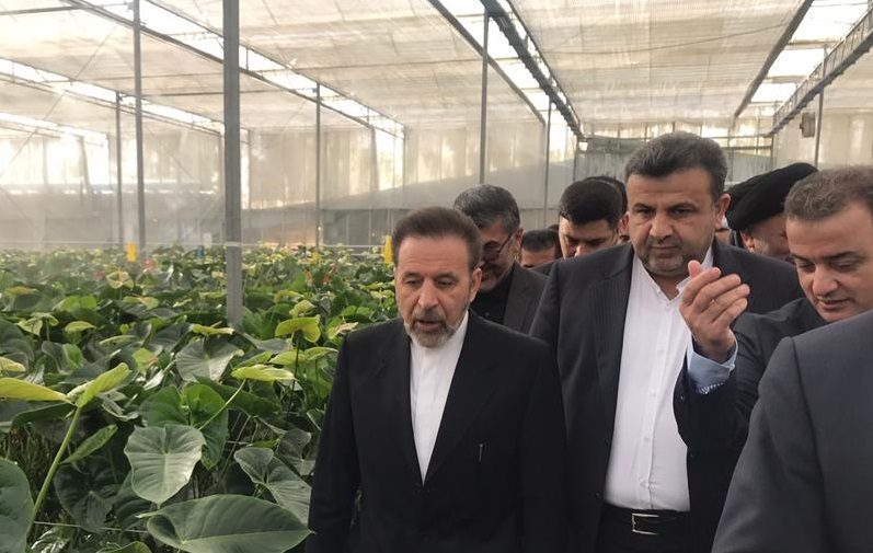 واعظی بر حمایت دولت از کشت گلخانه‌ای تاکید کرد