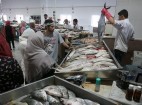 صادرات 600 میلیون دلاری آبزیان تا پایان سال 98