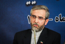 آزادی سریعتر دانشمند ایرانی پایانی بر نگرانی‌ها است