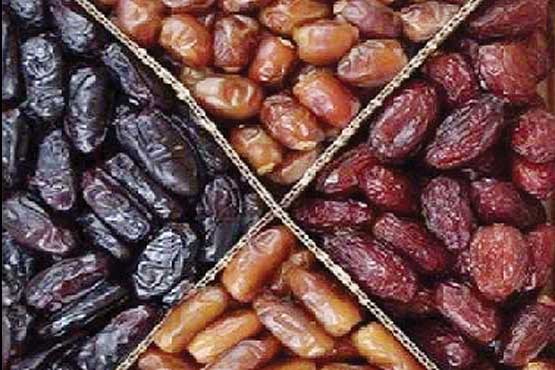عرضه مستقیم و توزیع ۱۵۰۰ تن خرما در ماه رمضان