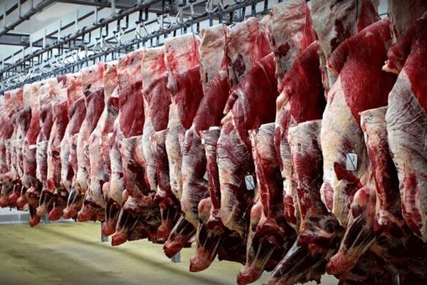 تولید گوشت قرمز به ۳۰/۴ هزار تن رسید