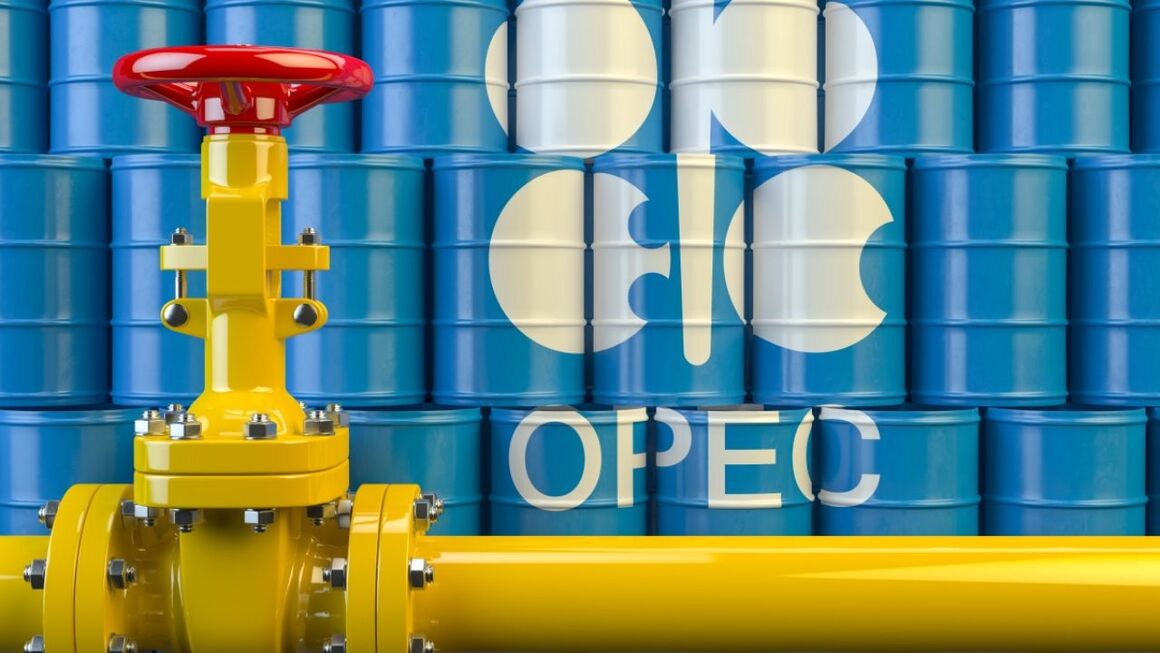 اوپک دیدگاه مثبتی به بازار نفت در ۲۰۲۲ دارد