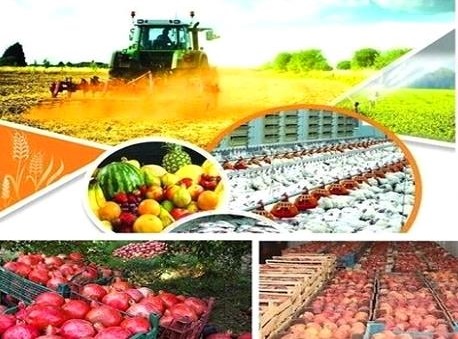 وزارت جهاد کشاورزی موظف به فروش ۳۰ هزار میلیارد تومان از اموال خود شد