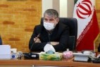 ساداتی نژاد: عرضه برنج خارجی در صورت نیاز بازار تداوم مییابد