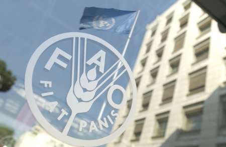 گزارش فائو از نقش مهم ایران در تأمین غذای جهان
