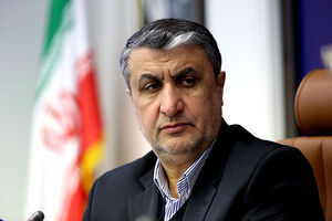 ایران پاسخ محکمی به قطعنامه می‌دهد