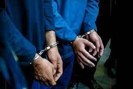 دستگیری ۲۰۴ متهم اقتصادی در شبانه روز اخیر