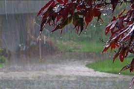 سامانه بارشی امروز در تهران، البرز و ۱۶ استان دیگر فعال است
