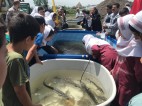 برگزاری جشنواره رهاسازی بچه ماهیان استخوانی و خاویاری دریای خزر