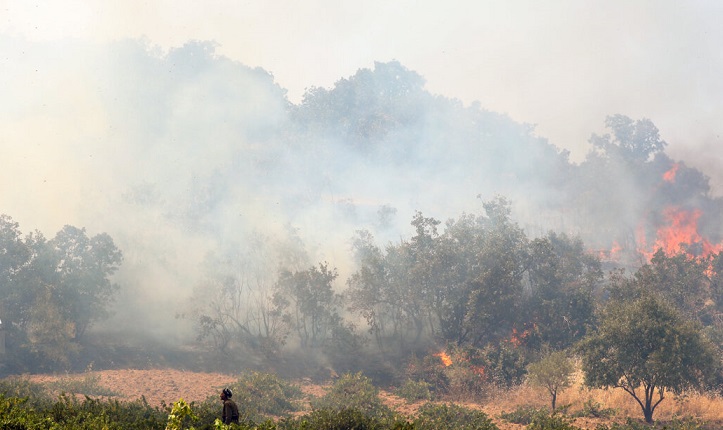 آتش سوزی جنگل های مریوان پیگیری قضایی می‌شود