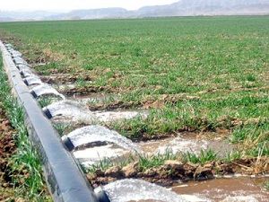 اجرای کامل تحویل حجمی آب در انتظار همکاری جهاد کشاورزی است