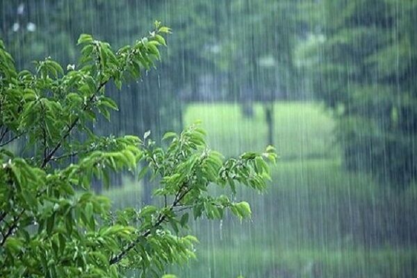 بارش باران و کاهش دما در نیمه شمالی کشور