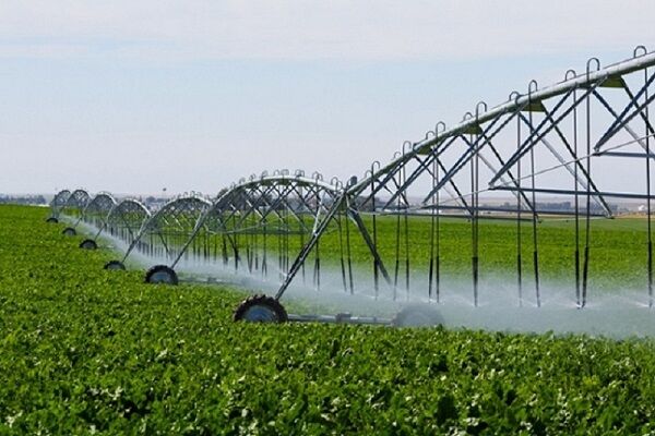 رشد تولید محصولات کشاورزی راهبردی با بهره‌وری بهینه از منابع آب