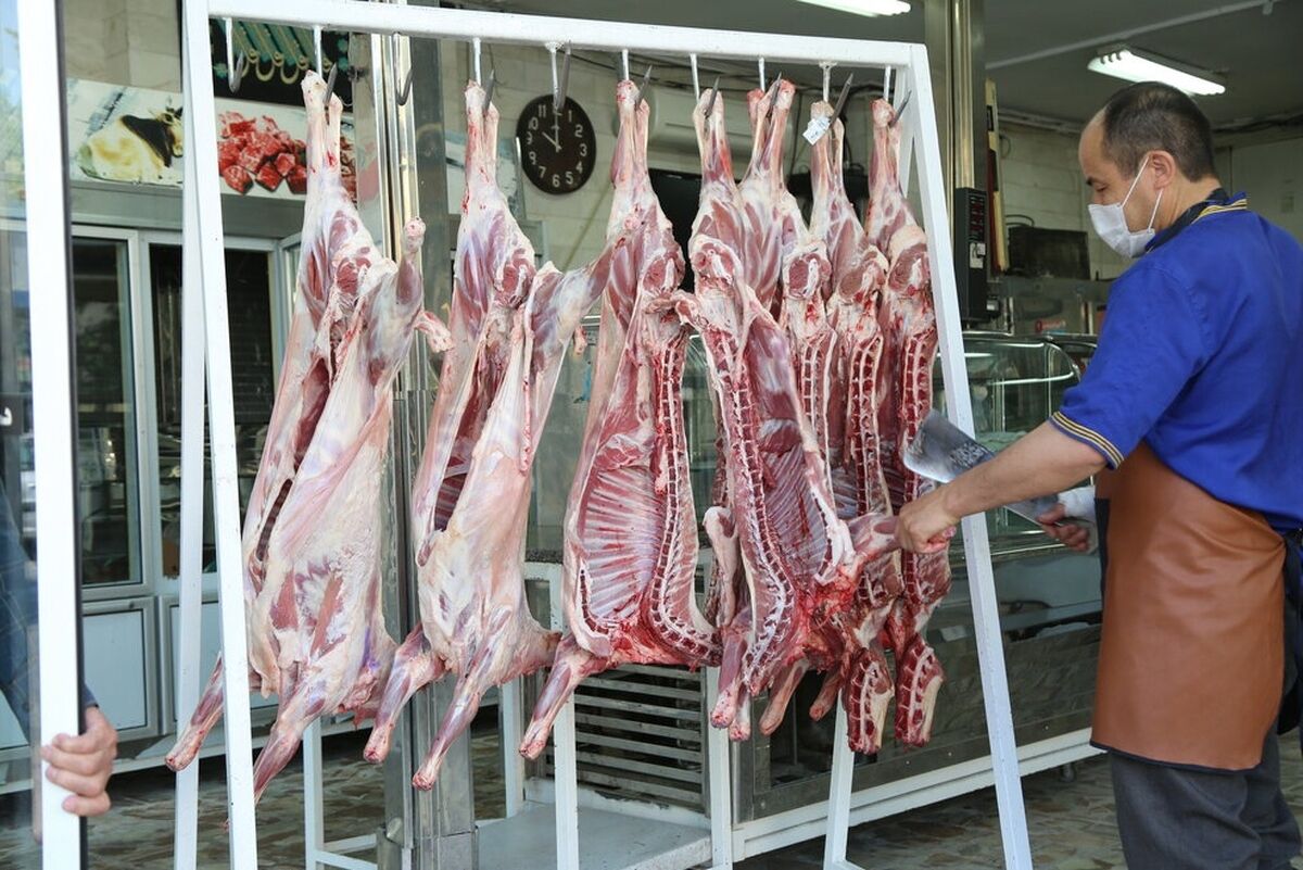 عرضه ۳۷ هزار تن گوشت قرمز در کشتارگاه‌های رسمی کشور در آبان ۱۴۰۲