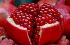 پشینه یلدا در فرهنگ ایران