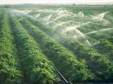 افزایش 300 برابری سرمایه گذاری خارجی بخش کشاورزی در پسابرجام