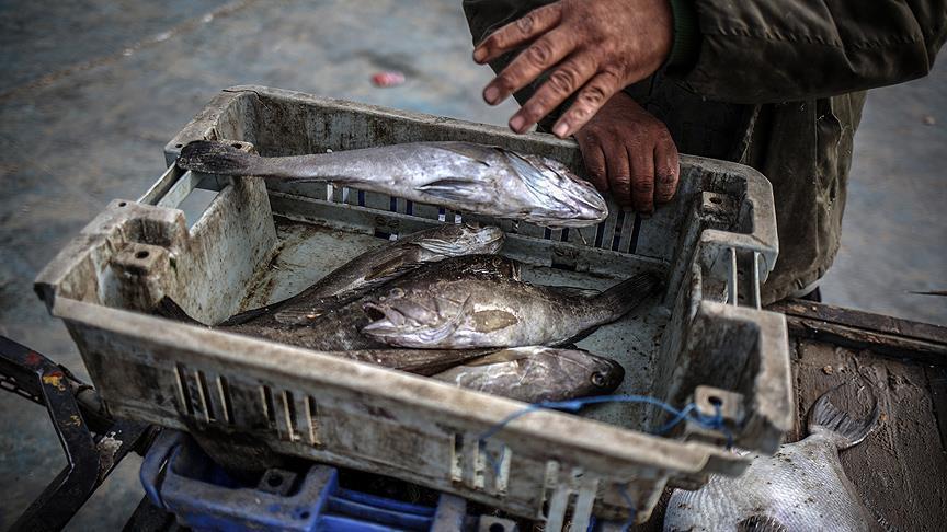 دوهزار شناور عراقی منابع آبی ایران را تهدید می‌کنند