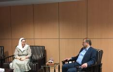 تحریم هنر و فرش ایرانی توهین به نهادهای بین المللی است