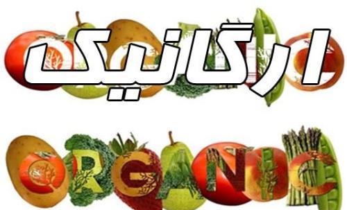 هر محصولی که در زمین بدون سم و کود، کشت شود ارگانیک نیست