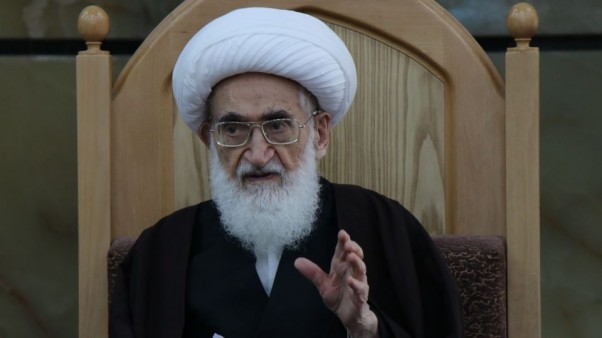 آیت الله نوری همدانی: امسال در خانه زیارت اربعین میخوانیم