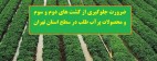 ضرورت جلوگیری از کشت محصولات پر آببر در استان تهران