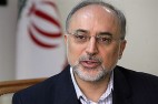 تامین مالی عامل کندی تکمیل نیروگاههای ۲ و ۳ بوشهر است