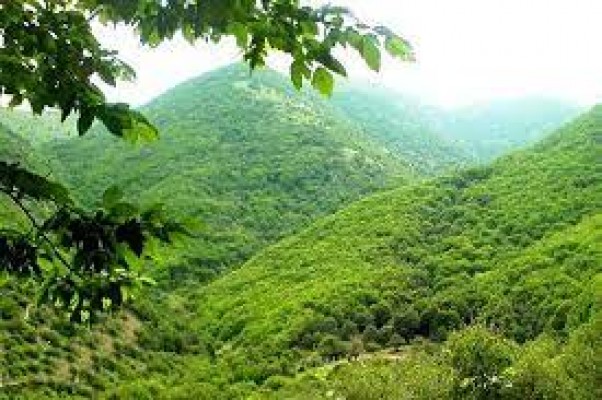 کلنگ هیچ پروژهای در دولت سیزدهم بدون مجوز محیط زیست به زمین نخواهد خورد