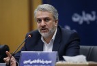 فاطمی امین: روند اجرایی واردات خودرو آغاز شد
