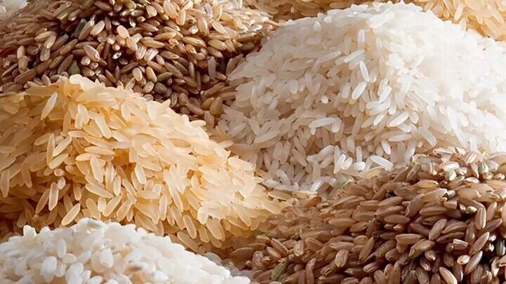 علت افزایش قیمت برنج/ راهکار کاهش قیمت چیست؟