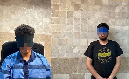 جزئیات جدید قتل دانشجوی دانشگاه تهران از زبان سرپرست دادسرای جنایی/فیلم