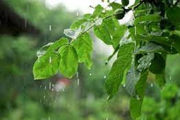 تداوم بارش‌ها و ثبت نخستین دمای زیر صفر امسال در تهران