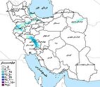 حوضه خلیج‌فارس و دریای عمان پربارش ترین حوضه آبریز درجه یک کشور