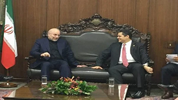 بریکس نقطه عطفی در مناسبات بینالمللی و بستری برای مقابله با یکجانبهگرایی است